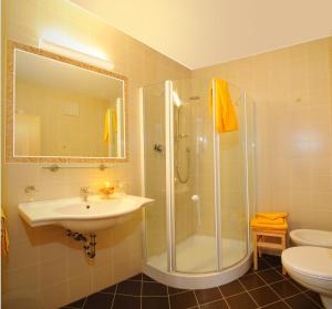 een badkamer met een douche, een wastafel en een toilet bij Fassnauerhof Ridnaun in Racines