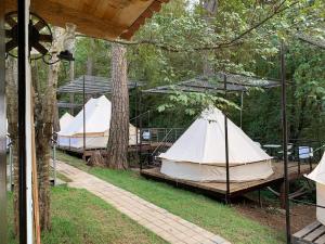 un grupo de tiendas sentadas en el césped en Glamping Rio Valle de Bravo en Valle de Bravo