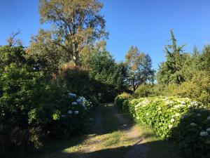Gallery image of Parcela borde rio in Villarrica +16 photos