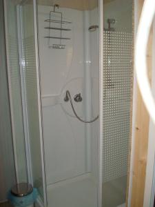 eine Dusche mit Glastür im Bad in der Unterkunft villa ROSE GARDEN in Craponne-sur-Arzon