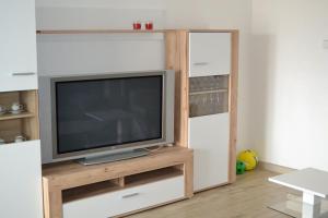 a living room with a television on a wooden entertainment center at apartmán 2+1 in Huštěnovice