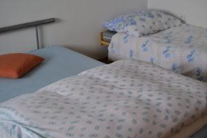 Fotografie z fotogalerie ubytování apartmán 2+1 v destinaci Huštěnovice + 3 fotografie