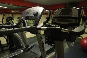 Fitness centrum a/nebo fitness zařízení v ubytování Hotel Santa Irene Guadalajara