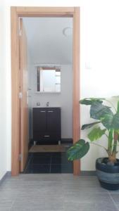 a bathroom with a mirror and a potted plant at Matilde House in São Vicente