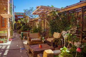 a garden with chairs and a table and some plants at Hostal Valle Mistral in La Serena