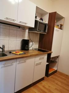 Kuchyň nebo kuchyňský kout v ubytování Ferienwohnung - Apartment Pichlarn Irdning