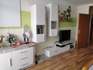 Kuchyň nebo kuchyňský kout v ubytování Ferienwohnung - Apartment Pichlarn Irdning