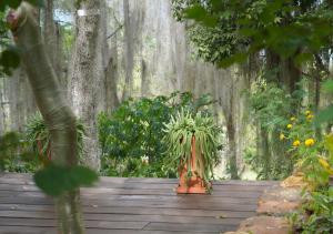 Κήπος έξω από το El Paraiso Posada Finca San Vicente