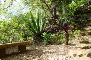 Κήπος έξω από το El Paraiso Posada Finca San Vicente