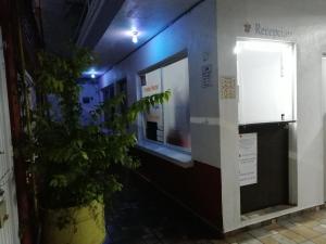 Dapur atau dapur kecil di Hostal Maple