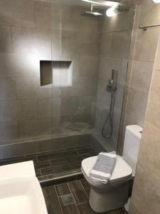 a bathroom with a shower and a toilet and a sink at Regina Apartments in Lassi