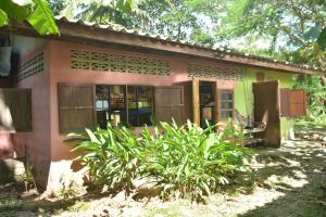 Eco-Logic, Resort for Charity外面的花园