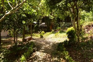 Eco-Logic, Resort for Charity外面的花园