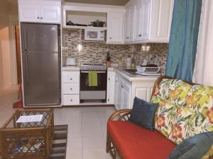 Atlantic Breeze Apartments, Canouan Island的厨房或小厨房