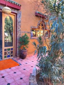 a house with a courtyard with plants and a door at Dar M'hamid in Mhamid