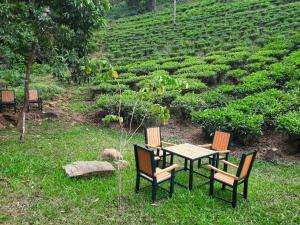 Giardino di Janiro Tea Trees Villas