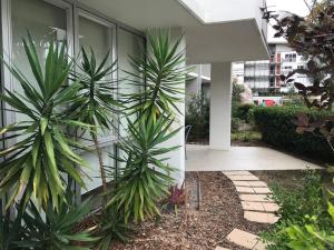 two palm trees in front of a house at One Bright Point Euodia Unit 1102 in Nelly Bay