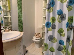 Un baño con inodoro y cortina de ducha. en Casa en Martín Miguel a 15 Minutos de Segovia, en Martín Miguel 23 fotos más