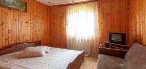 a bedroom with a bed and a tv and a window at Vodoliy in Mykulychyn