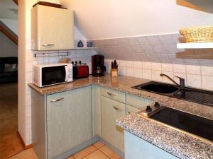 eine Küche mit einer Spüle und einer Mikrowelle in der Unterkunft Gästehaus Schrot in Bad Schandau