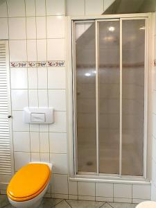 a bathroom with a shower and a toilet with a yellow seat at Gästehaus Schrot in Bad Schandau