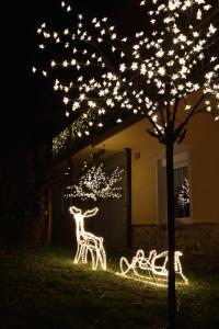 Afbeelding uit fotogalerij van Apartment Sotočje in Dolenja Trebuša