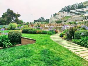 A garden outside Excelente Departamento en Reñaca