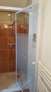 een douche met een glazen deur in een badkamer bij Duplex Les Périades 18 in Saint-Gervais-les-Bains +66 foto's