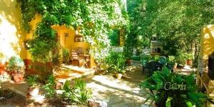 un jardín con muchas plantas y un edificio en CASA DE LA LUNA, en Arroyo Frío