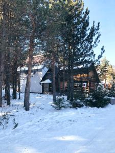a log cabin in the snow next to trees at Vikendica Rita in Risovac