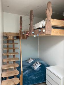 a bunk bed with a ladder in a room at La Grange Auguste avec Sauna Jacuzzi in Vénosc