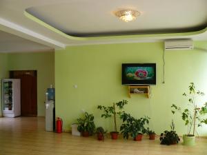 a room with potted plants and a tv on a wall at Cabana Delfinul in Dubova