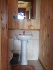 uma casa de banho com um lavatório, um WC e um espelho. em Cabanas Valdivia - Tres Espinos - camino a Niebla em Valdivia