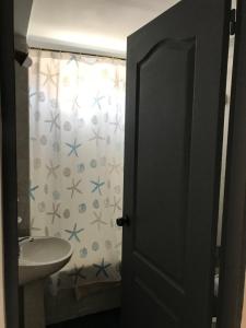 a bathroom with a sink and a toilet and a shower curtain at Departamento Belgrano 7 in Salta +13 photos