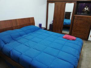 een slaapkamer met een blauw bed en een spiegel bij A casa di marcello in Catanzaro