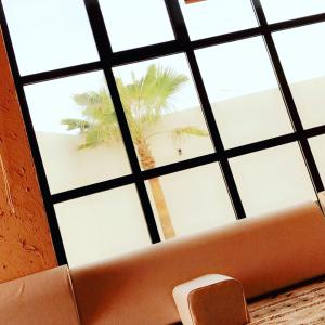 una ventana con palmeras en el fondo en فيلا بلاتنيوم اند كي ام, en Unaizah