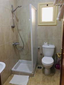 a bathroom with a shower and a toilet and a sink at New Memnon Hotel in Luxor