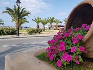 a flower pot on the side of a street with pink flowers at Petite palace in Rethymno Town