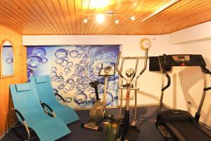 Fitness centrum a/nebo fitness zařízení v ubytování Hotel Purucker
