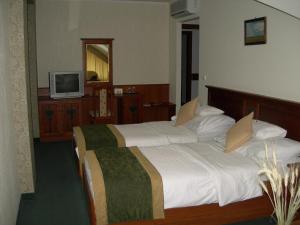 um quarto de hotel com duas camas e uma televisão em Kígyósi Csárda & Panzió em Fülöpszállás