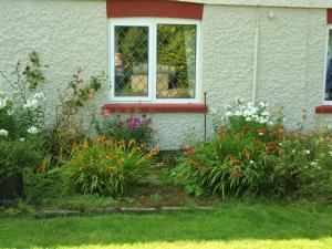 Una mujer mirando por la ventana de una casa con flores en firtrees, en Selby