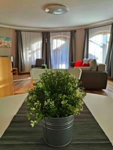 Część wypoczynkowa w obiekcie Pannonia Apartman