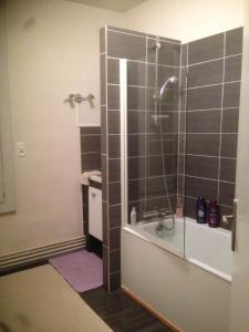 a bathroom with a shower with a glass door at L'Ecrin in Villeneuve-sur-Lot
