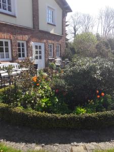 a garden in front of a house with flowers at Lavendel in Steffenshagen