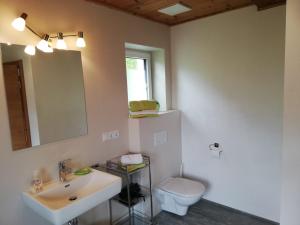 a bathroom with a sink and a toilet and a mirror at Aignerbauer Mittersill in Mittersill