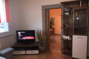 a living room with a flat screen tv on a table at Apartman QUATTRO in Sokolov