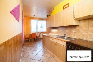 - une cuisine avec un évier et un comptoir dans l'établissement Apartman QUATTRO, à Sokolov