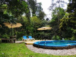a pool with chairs and umbrellas in a yard at Casa Cedro - Portasol Vacation Rentals in Matapalo