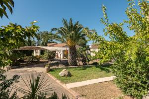 una casa con una palma nel cortile di Résidence Spelonca a Corbara