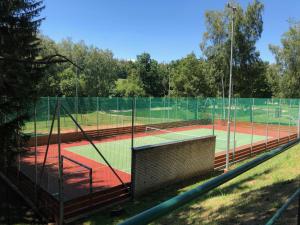 a tennis court with a net on a tennis court at Historic Farmhouse Kojetice in Kojetice